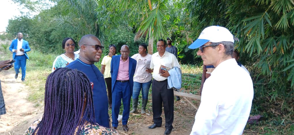 Évaluation et capitalisation